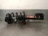 Amortecedor dianteiro 543020016R RENAULT