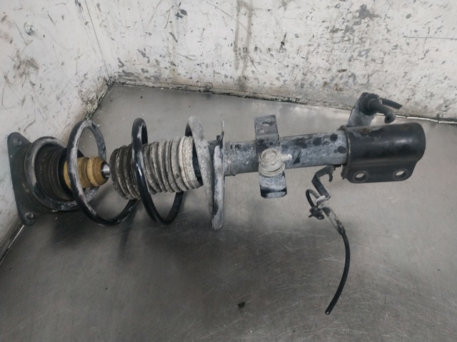 RENAULT 543020808R Амортизатор передний в наличии Ровно