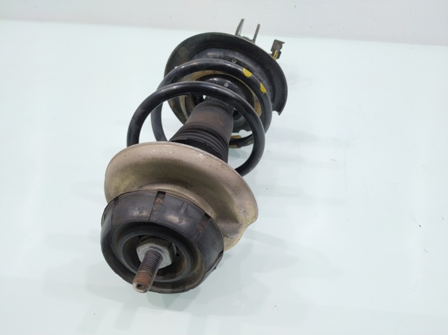 543022905R RENAULT Амортизатор передний купить в Павлоград