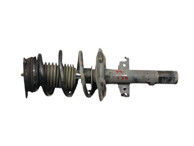 RENAULT 543022967R Амортизатор передний в наличии Черновцы