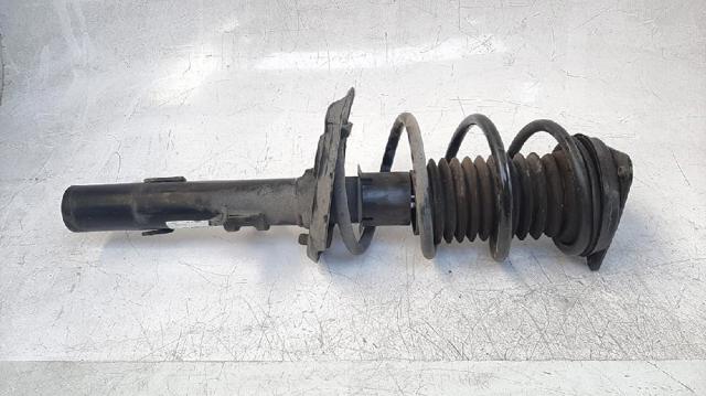 RENAULT 543025418R Амортизатор передний в наличии Черкассы