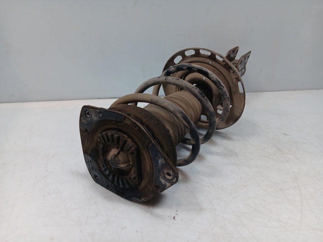 543028098R RENAULT Амортизатор передний купить в Павлоград