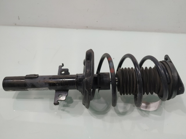 543029696R RENAULT Амортизатор передний купить в Тернополь