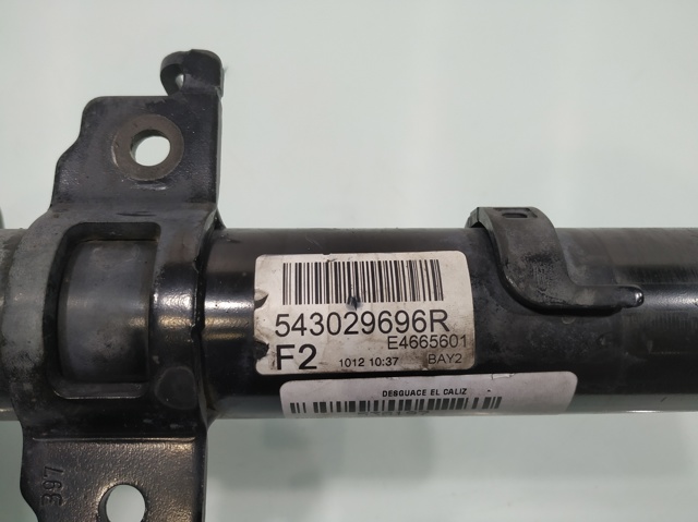 543029696R RENAULT Амортизатор передний купить в Ровно