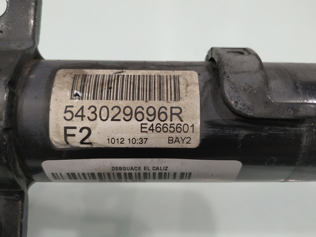 543029696R Амортизатор передний купить Павлоград