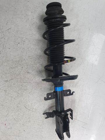 543031083R купить Ужгород