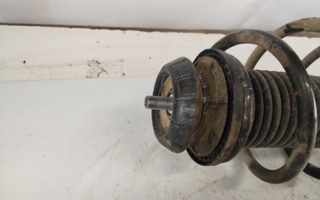 543039724R RENAULT Амортизатор передний левый купить в Житомир