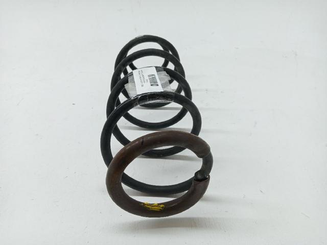 550200007R RENAULT Пружина задняя купить в Ужгород