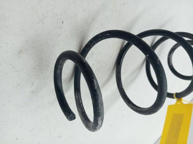 550207532R RENAULT Задняя пружина купить в Украина