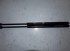 Amortecedor de tampa de porta-malas (de 3ª/5ª porta traseira) 55076208 CHRYSLER
