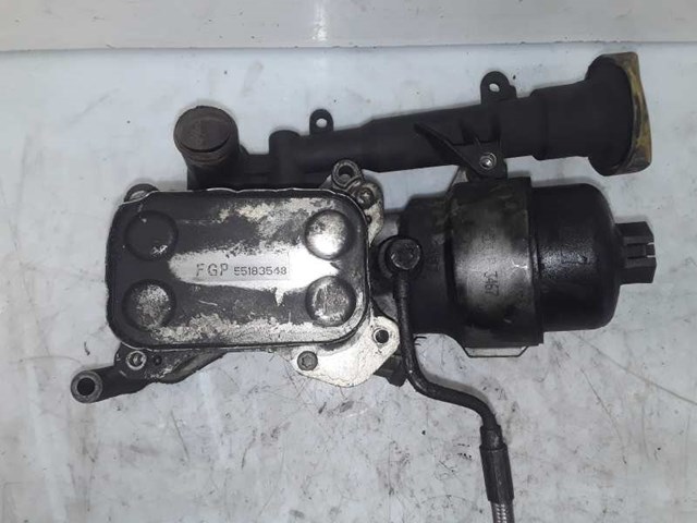 55183548 FIAT Радиатор масляный купить в Житомир