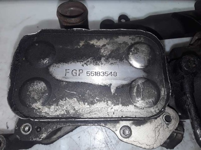55183548 FIAT Радиатор масляный купить в Ирпень