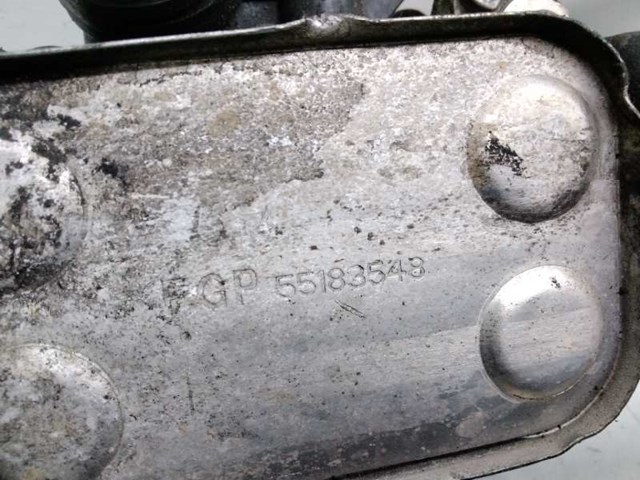 55183548 FIAT Масляный радиатор купить в Ирпень