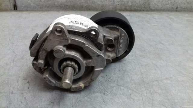 55190813 FIAT Натяжитель приводного ремня купить в Николаев