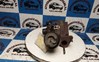 Turbina 55198317 FIAT