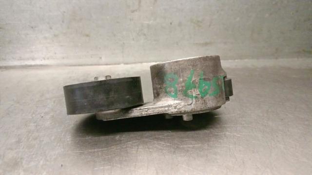 55232827 FIAT Натяжитель приводного ремня купить в Украина