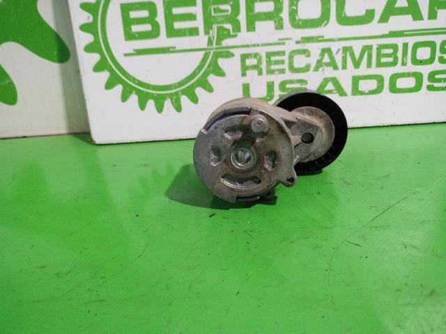 55244469 FIAT Натяжитель приводного ремня купить в Ирпень