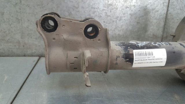 553612F200 HYUNDAI Амортизатор задний правый купить в Винница