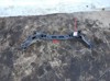 Viga de suspensão traseira (plataforma veicular) 554103U800 HYUNDAI