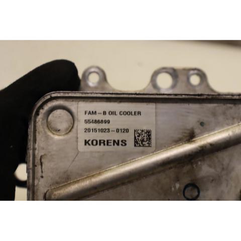 OPEL 55486899 в наличии Ирпень