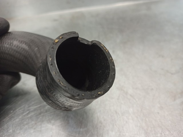 OPEL 55559701 в наличии Ужгород