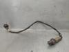 Sonda lambda, sensor de oxigênio até o catalisador 55562205 OPEL
