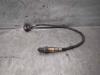 Sonda lambda, sensor de oxigênio até o catalisador 55562205 OPEL