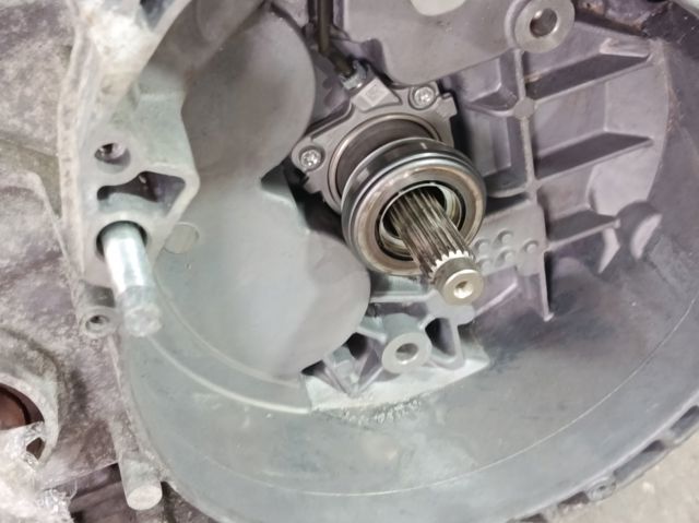 FIAT 55563397 в наличии Ужгород