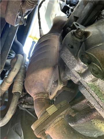55564503 OPEL купить в Хмельницкий