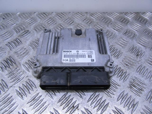 55566276 OPEL купить в Николаев