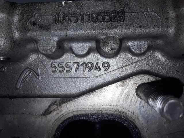 OPEL 55571949 ГБЦ в наличии Сумы