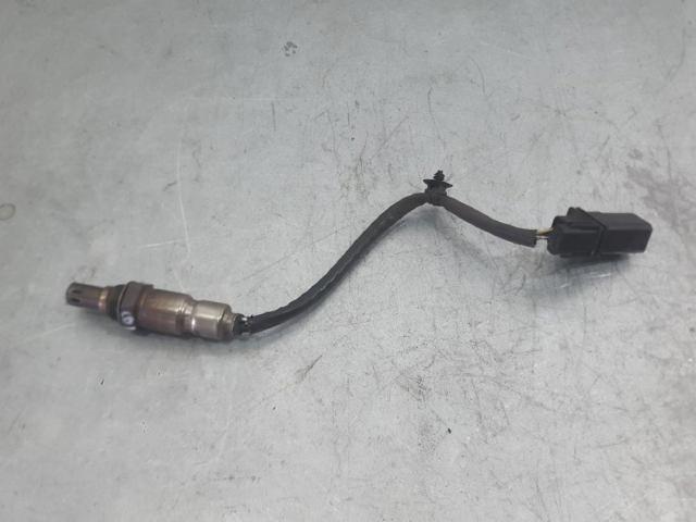 OPEL 55579925 в наличии Ужгород