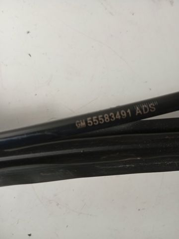 OPEL 55583491 в наличии Николаев