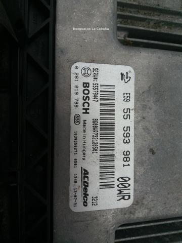 OPEL 55593981 в наличии Кривой Рог