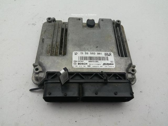 OPEL 55593981 в наличии Ирпень