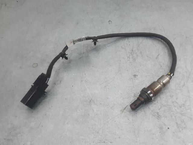 OPEL 55595508 в наличии Сумы