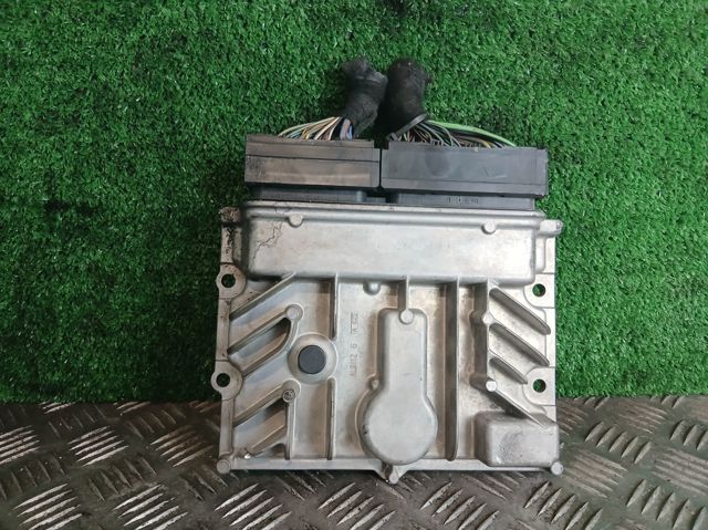 55597676 купить Чернигов