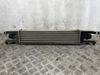 Radiador de intercooler 55702004 OPEL