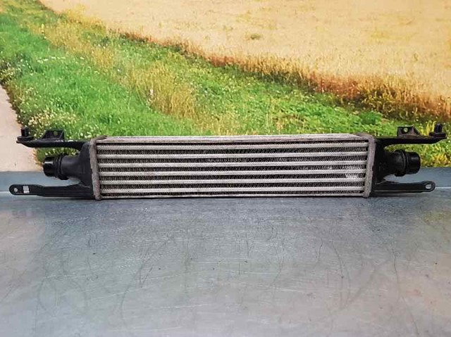 OPEL 55702004 Радиатор интеркуллера в наличии Днепр