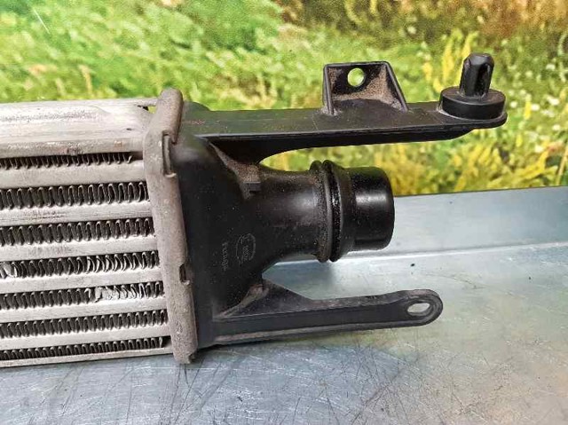 55702004 OPEL Интеркулер купить в Тернополь