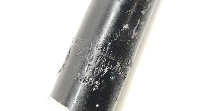 562106559R RENAULT Амортизатор задний купить в Тернополь
