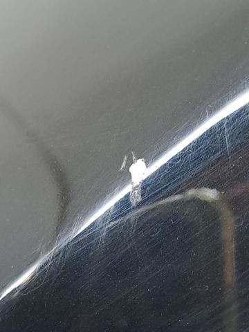 Pára-lama dianteiro esquerdo Subaru Forester 3 S12, SH