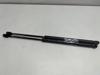 Amortecedor de tampa de porta-malas (de 3ª/5ª porta traseira) 5802A007 PEUGEOT