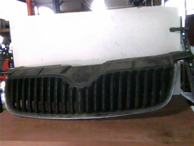 VAG 5J0853668A9B9 Решетка радиатора в наличии Кривой Рог