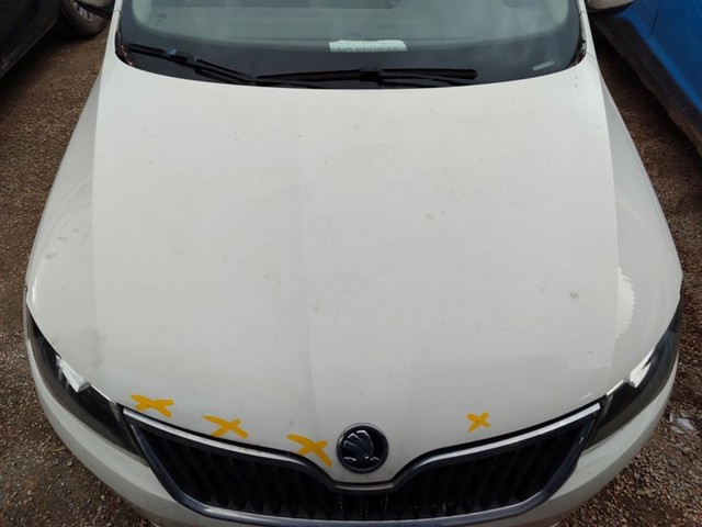 VAG 5JA823031E Капот в наличии Запорожье