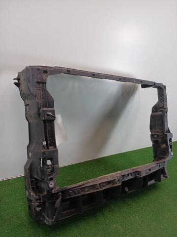 Suporte do radiador montado (painel de montagem de fixação das luzes) Volkswagen Tiguan BW2, BJ2