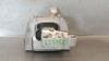 Coxim (suporte) direito de motor 5Q0199262BJ VAG