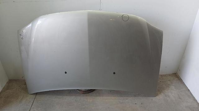 RENAULT 6001546685 Капот в наличии Черновцы