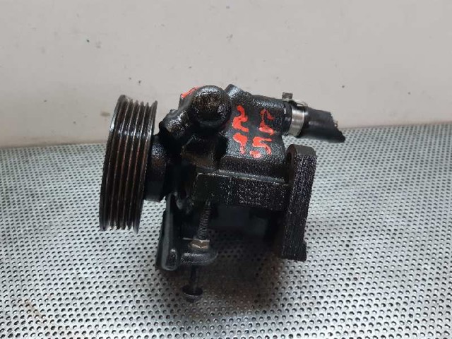 RENAULT 6006003645 Насос гидроусилителя руля (ГУР) в наличии Павлоград