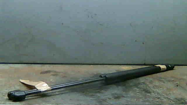 6025101952 Renault (RVI)